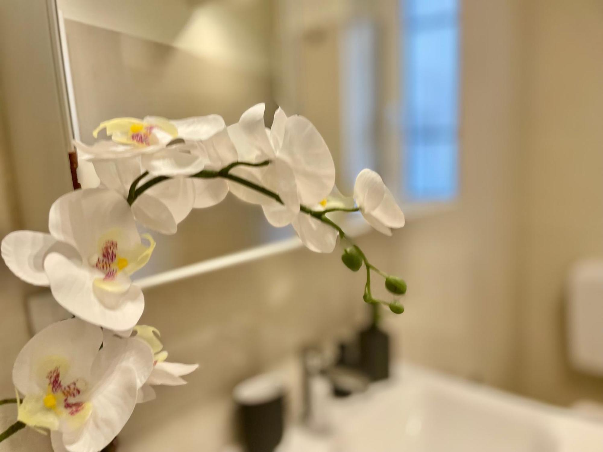 ג'נובה Happy Family Apartments Incantesimo מראה חיצוני תמונה